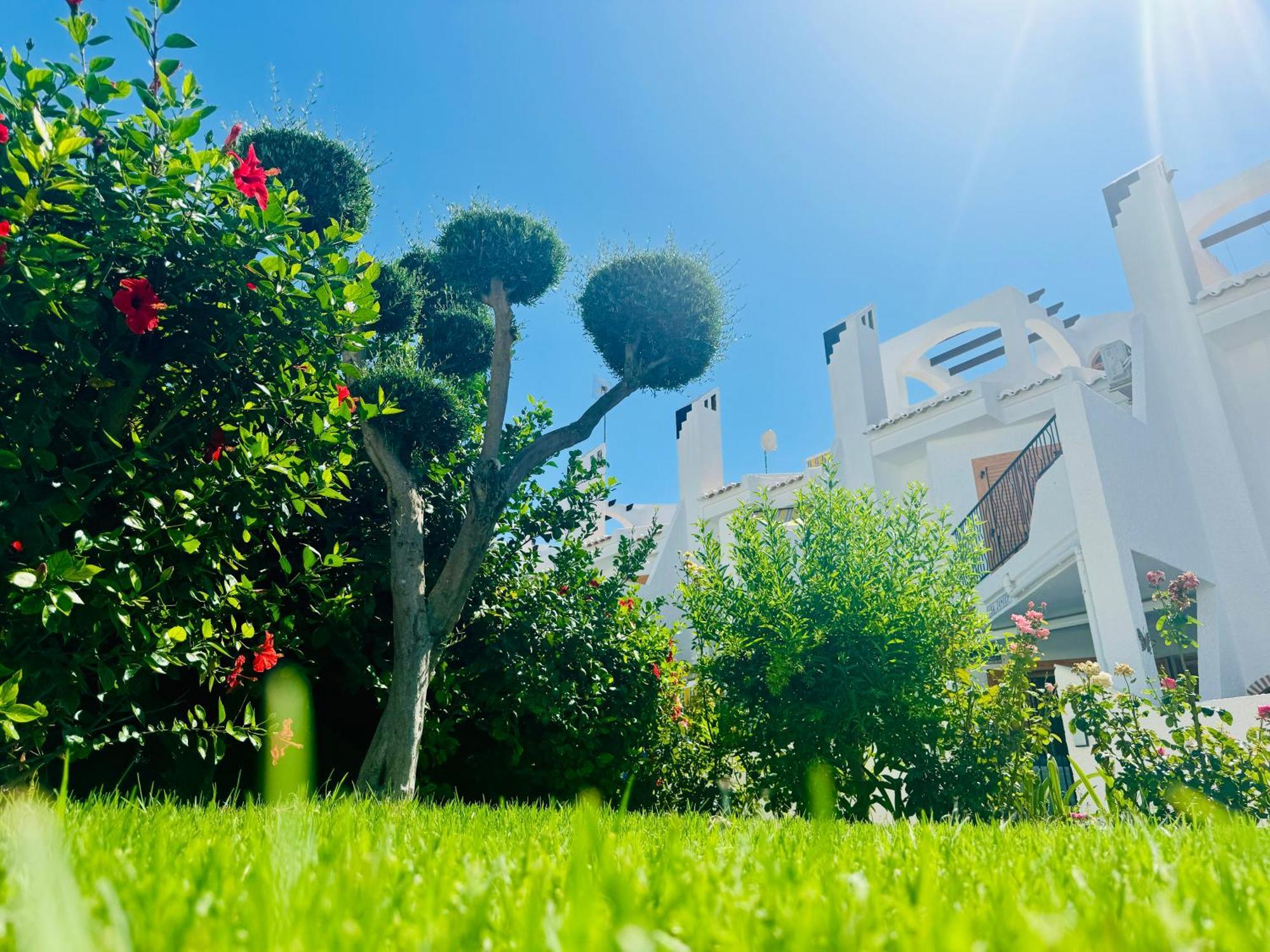 Villa Contemporary House In Cabo Roig à Orihuela Extérieur photo